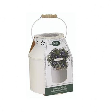 Bee Friends-Milk Churn Growing Gift