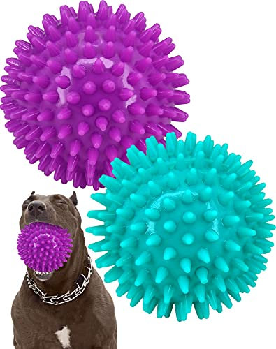 Pweituoet 2 Stück 11,4 cm strapazierfähige, quietschende Hundebälle für mittelgroße und große Hunde, Spikey Dog Ball Spielzeug für saubere Zähne und Training, großes Hundespielzeug für Aggressive