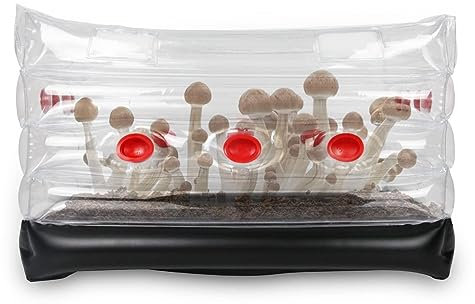 banapoy Pilz-Monowannen-Set, Aufblasbares Pilz-Zelt-Set für Zuhause, Mykologie-Pilz-Zuchtbeutel mit Stopfen, Filtern und Pumpe für Frischluftaustausch