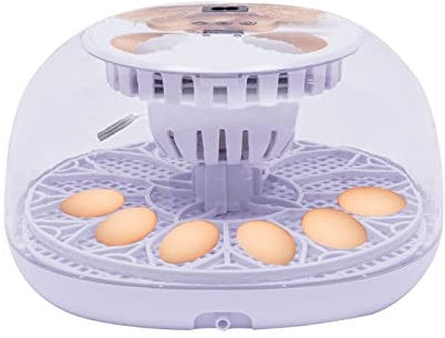 12 Eier Brutmaschine für Hühner, Brutmaschine, automatisch, für Hühner, Enten, Gänse, Vögel