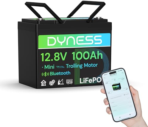 Dyness Batteria LiFePO4 12V 100Ah Bluetooth, Mini Batteria al Litio con BMS 100A, Protezione a Basse Temperature, per Nautica, Camper, Impianti Solari off-grid