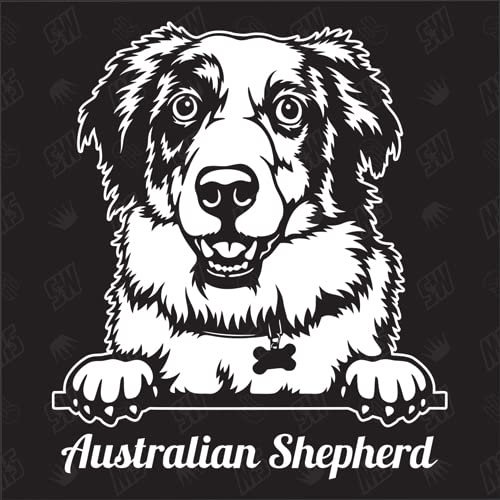 speedwerk-motorwear Australian Shepherd Version 3 - Sticker, Aufkleber, Hundeaufkleber, Autoaufkleber, Hund, Auto, Hunderassen, Mischling, Mix, Tiere, Haustier (AUCH MIT Wunschname MÖGLICH)