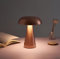 BA-ER Modern Portable Table Lamp, Rechargable Battery, Up to 12 Hours Long Usage, 3 Color Mode, Dimmable, Chic Restaurants/Bedroom/Dinner/Coffee Table (Rose Gold)