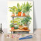 TISHIRON Peinture verte par numéros pour adultes plantes d'intérieur dans des pots sur l'étagère DIY Kits de peinture par numéros sur toile Peinture à l'huile par numéros 40,6 x 50,8 cm