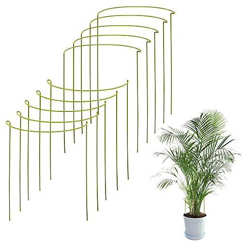 10-er Pack Rankhilfe Zimmerpflanzen | Pflanzenstütze Rund Für Große Pflanzen Und Blumen | Monstera Rankhilfe | Für Pflanzen-wachstum | Pflanzenstangen Für Monstera, Hortensien, Pfingstrosen Usw