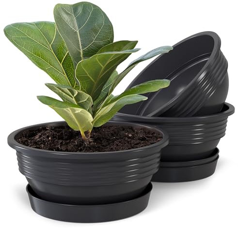 Plastard Pflanzschale mit Untersetzer im 3er Set in Anthrazit 40 cm Durchmesser große runde Blumenschalen aus Kunststoff für Garten Terrasse Wohnung für Aussen und Innen Schalen Pflanztopf