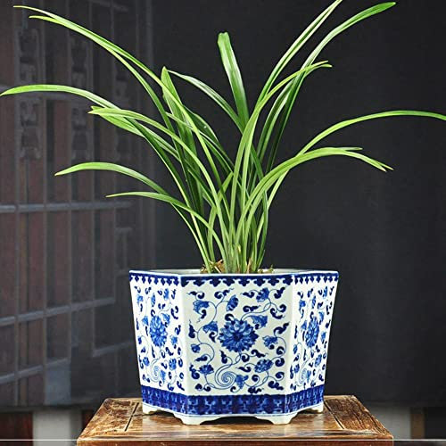 BUNCC Keramik-Pflanzgefäß, blau-weißes Porzellan, dekorativer Blumentopf mit Untersetzer für Zimmerpflanzen, Blumenbehälter mit Ablaufloch für Bonsai-Pflanzen, Blume, Aloe, Innendekoration