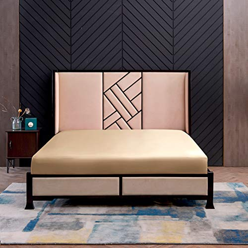 THXSILK Seide Spannbettlaken Spannbetttücher Seide Bettlaken 100% Maulbeerseide 19 Momme mit Rundumgummi (90x200+30cm, Champagner)