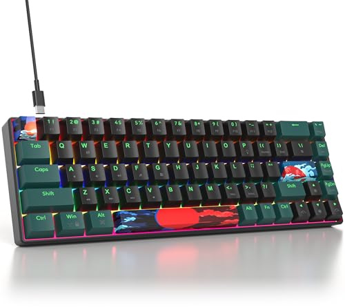 surmen 65% Mechanical Gaming Keyboard with Linear Red Switch, Wired Mini Compact Keyboard 60 Percent Backlit for Laptop Desktop PC Gamers（68 Sound Wave B-Rainbow）