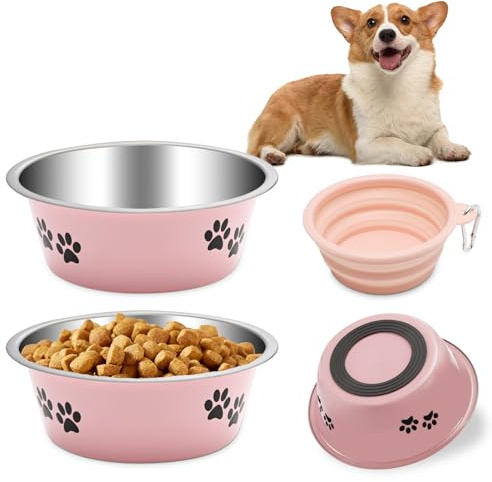 Stainless Steel Dog Bowls, Dog Food Water Bowls with Non Slip Bottom, Metal Pet Feeding Bowls for Small Medium Large Dogs, 860ML