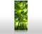 wandmotiv24 Duschrückwand Bambus Wald 90 x 200cm (B x H) - Acrylglas 4mm M0338
