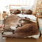 BSYYZQC Bettwäsche 240x220 Otter Bettwäsche-Sets Tier Bettbezug Weiche Atmungsaktiv Mikrofaser mit Reißverschluss und 2 Kissenbezüge 80x80 für Erwachsene Geeignet
