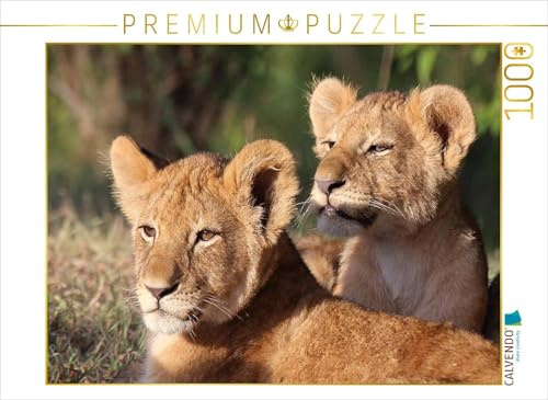 CALVENDO Puzzle Löwen – Kinderstube | 1000 Teile Lege-Größe 64 x 48 cm Foto-Puzzle für glückliche Stunden