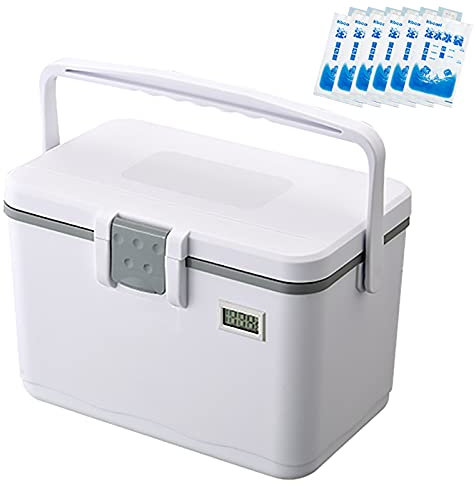 Frigo Portatile Passivo per Cibo e Bevande con Ghiaccio e Display Della Temperatura, Scatola Refrigerata per Medicinali per Insulina, Piccola Borsa Termica Leggera per Picnic o Lavoro