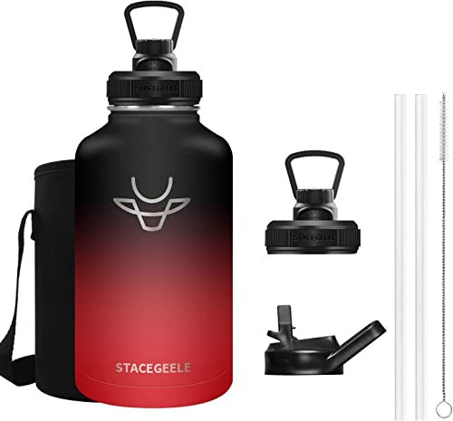 STACEGEELE 2 Litre Coffee Carafe Jugs Double Walled Vacuum Insulated Coffee Pot with Handle for Drink Hot & Cold 24 Hours Retention Stainless Steel Flask for Coffee Tea Beverage 64oz Ice Coke