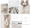 Hambient Tableau Decoration Murale Salon - SANS Cadre - Decoration Chambre - Tableaux, Posters et Arts Décoratifs - Deco Maison, Cuisine, Bureau (Beige Pampa Herbes, 4 x 30x40, 2 x 21x30 cm)