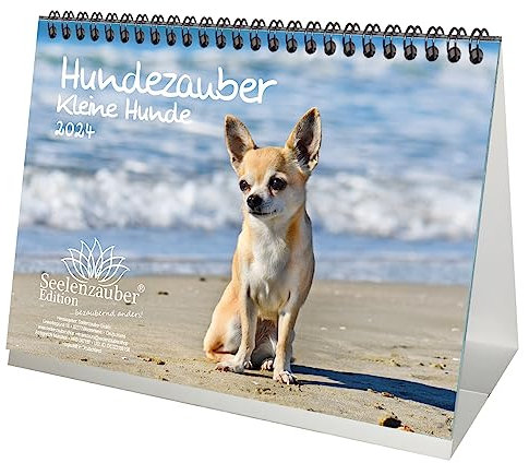 Hundezauber Kleine Hunde DIN A5 Tischkalender für 2024 Welpen und kleine Hunde - Seelenzauber