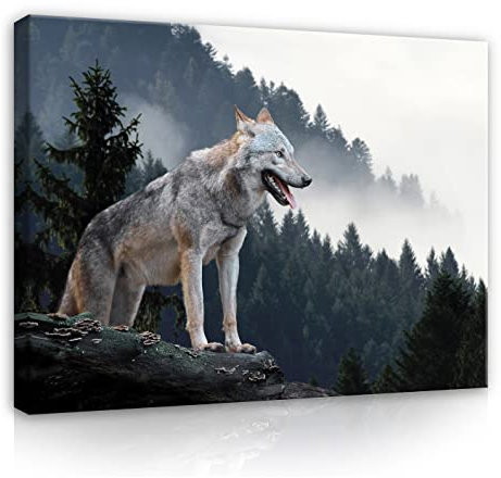 WallArena - Leinwand Bilder - Wolf Wald Nebel Natur Landschaft - 60x40 cm Leinwandbilder - Bild auf leinwand - Wandbild XXL groß Wandbilder für Wohnzimmer Schlafzimmer Wohnzimmerbilder Modern