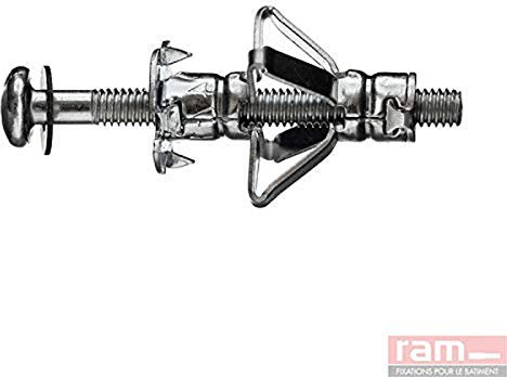 Ram - Cheville à Expansion Ramfix avec Vis, 4mm x 32mm, Argent, Sachet de 10
