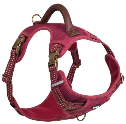 Nobby 52054-01 Geschirr Sporty rot S-M: Hals: 30-45 cm, Brust: 45-62 cm, B: 20 mm