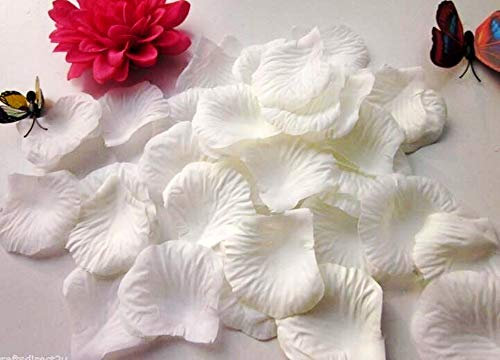 CHSYOO 1000 x Roses artificielles Feuilles Roses Fleurs confettis, Accessoires de décoration Romantique pour la fête d'anniversaire de Mariage fête Rendez-Vous Engagement Nomination Mariage, Blanc