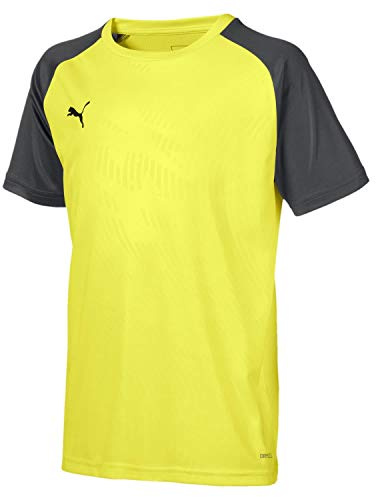 PUMA Jungen Cup Training Jersey Core Jr T-Shirt