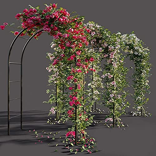 Arbours, Garden arbours, Large Size Garden Arch, Arch for Climbing Plants, Ultra-elegant Romantic Curved Rose Archway, Easy Assembly Garden Arch, for Climbing Plants and Roses (Rose White)