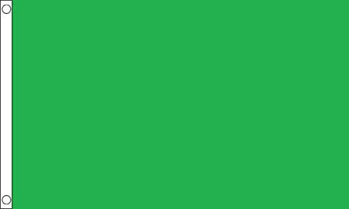 Bandiera verde tinta unita - 100% poliestere con occhielli - FlagSuperstore©
