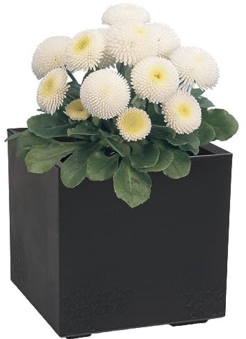 Vaso da fiori resistente alle intemperie, in elegante effetto cemento, nero, quadrato, dimensioni: 40 x 40 cm, altezza 39 cm, con rotelle, capacità 36 l, paradiso floreale