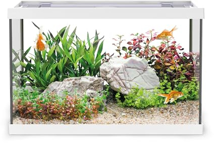 AQPET One Mini Aquarium aus Glas weiß 20 Liter - komplettes Aquarium mit Innenfilter, Sand, Zierpflanze und Hintergrund - Elegantes Design 36x22x26 cm, ideal für Anfänger