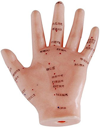 66fit Akupunkturmodell der Hand – 13 cm – Druckpunkte und Meridiane