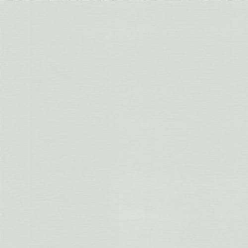 Rasch Tropical House 688009 Papier peint intissé uni aspect lin bleu pastel