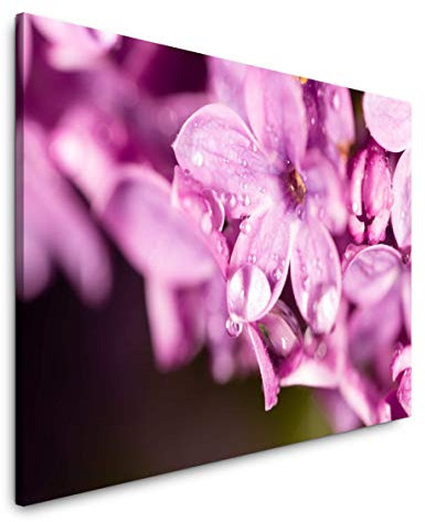 Paul Sinus Art Blumen in pink 60 x 90 cm Inspirierende Fotokunst in Museums-Qualität für Ihr Zuhause als Wandbild auf Leinwand in