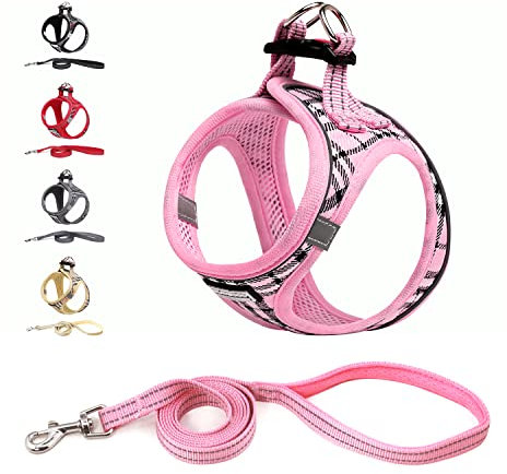 Suredoo Pettorina Cane Taglia Piccola Riflettente, Step-in Pettorina per Cani Gatti Cuccioli con Guinzaglio Comodo, Traspirante Imbracatura Cane Imbottito per Corsa Passeggiate (Rosa, XXS)