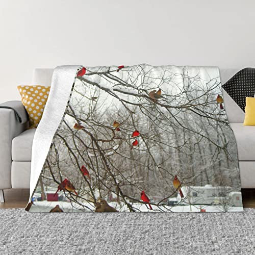 Birke Trees Ultraweiche Micro-Fleece-Decke für Bett Couch Wohnzimmer Warme Decke Multi Größe