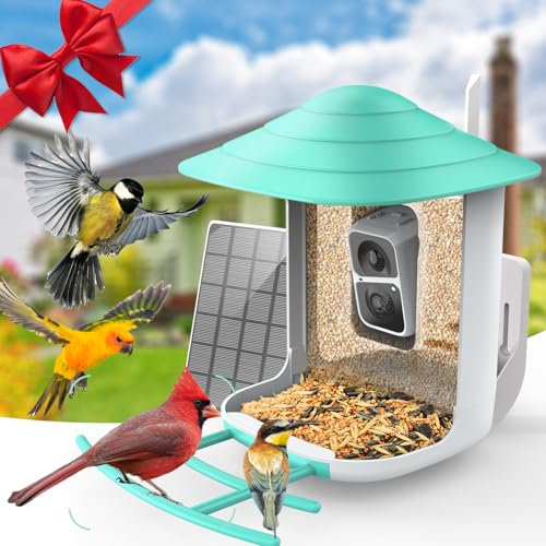DELOTA Smart Bird Feeder Camera with AI Bird Species Identification, Auto Video Motion Activated, Outdoor (Green)