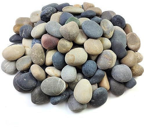 FANTIAN 9 kg natürliche, unpolierte Großsteine, mexikanische Strandkiesel, 5,1 - 7,6 cm, dekorative Flussfelsen für Landschaftsbau, Garten, Pflastersteine, Pflanzen, Felsen, Basteln, Gehwege und