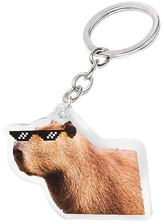 Schlüsselanhänger Wandern Capybara Neuer Wasserdelfin-Schlüsselanhänger, niedlicher Cartoon-Autoschlüsselanhänger, Tier-Schlüsselzubehör, Anhänger, Capybara-Schlüsselanhänger, Erde (J-013, One Size)