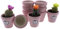 CERÁMICA RAMBLEÑA | Macetas de Barro | Macetas Decoradas | Macetas cerámica | Macetas Exterior | Pack x10 Macetas para Cactus | Rosa | Modelo D79 | 7x7x6.5 cm