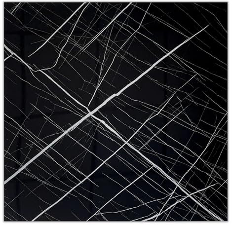 3,6m² 10 Stück SPC/Carbonat Platten Wandpaneele Deckenpaneele Wandverkleidung Fliesen Keramik Imitat Bad Küche glänzend 60x60cm (Schwarz) PUV3