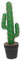 PRETYZOOM Cactus Finto Alto Decorazione Artificiale Del Deserto Ornamento Verde Pianta Di Plastica Realistica Per Casa Ufficio Veranda Tavolo Decorazione