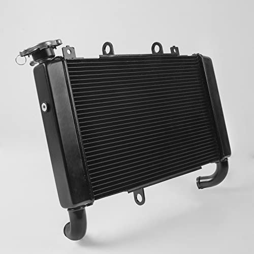 Cubierta Protectora del Tanque de Agua del Sistema de refrigeración del Enfriador del Motor del radiador de la Moto para CB650R CBR650R CB CBR 650R CB CBR 650 R 2018 2019 2020 2021 2022 2023