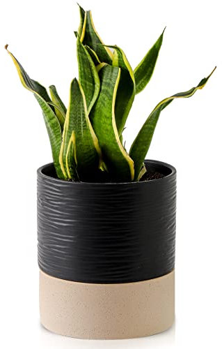 Nihow Selbstbewässernder Blumentopf: 15,2 cm Keramik-Übertopf mit Ablaufloch und Wasserspeicher plus für Innen- und Außenpflanzen – runder Blumentopf für Sukkulenten/Kräuter/Veilchen – Schwarz & Braun