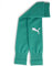 PUMA Herren Teamgoal Sleeve Fußballsocken, Sport Green-PUMA Weiß, 1 EU