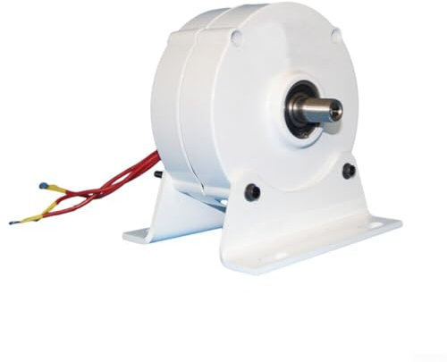 Donkivvy Magnetmotor 100W Permanent Magnet Elektro Motor Generator Magnetmotor Generator Permanent Magnetmotor Generator 3 Phasen Windgenerator Synchrongenerator für Windturbine(12V)