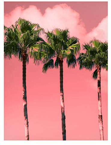 Bilderwelten Magnettafel - Palmen vor Himmel Rosa - Memoboard 40 x 30cm
