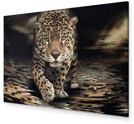 murando - Wandbilder XXL Tiere 120x80 cm 1 tlg - Wand Deko Vlies Leinwand Bilder Groß Wanddeko Wohnzimmer Schlafzimmer Kunstdrucke - Leopard Afrika g-A-0226-b-c