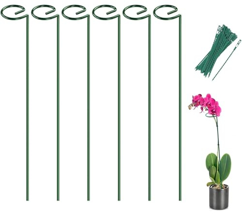 Joyhalo Confezione da 6 pali e supporti per piante, pali da 40,6 cm e supporto per piante da giardino all'aperto, phalaenopsis, paperwhite, gigli orientali, zinnie, orchidee, delila, giglio, rosa