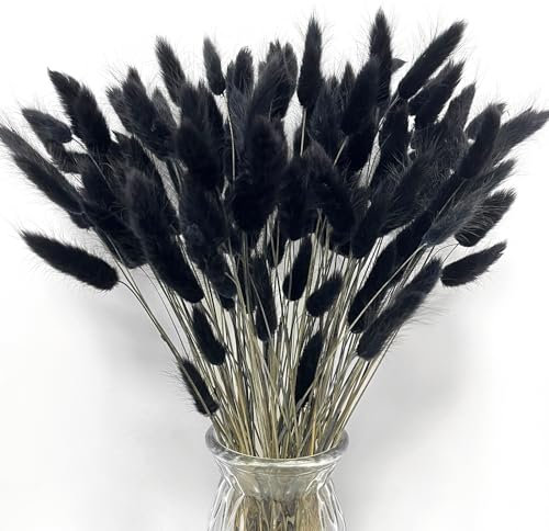 Songjum 120Stück Getrocknete Blumen Hasenschwänze Pampasgras Natürlicher Kaninchenschwanz Getrockneter Blumen Pampasgras Dekor für Wohnkultur Boho Zuhause Dekoration Blumenarrangements(Schwarz)