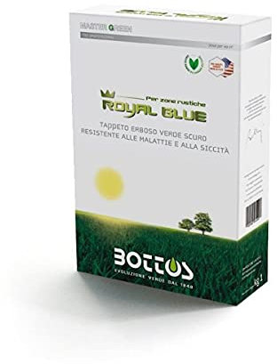Boutons Royal Blue Plus Engrais 1 kg